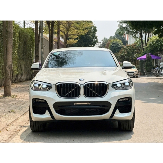 BMW X4 Msport xDrive20i 2020 Trắng /Nâu