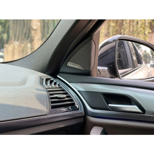 BMW X4 Msport xDrive20i 2020 Trắng /Nâu