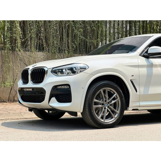 BMW X4 Msport xDrive20i 2020 Trắng /Nâu